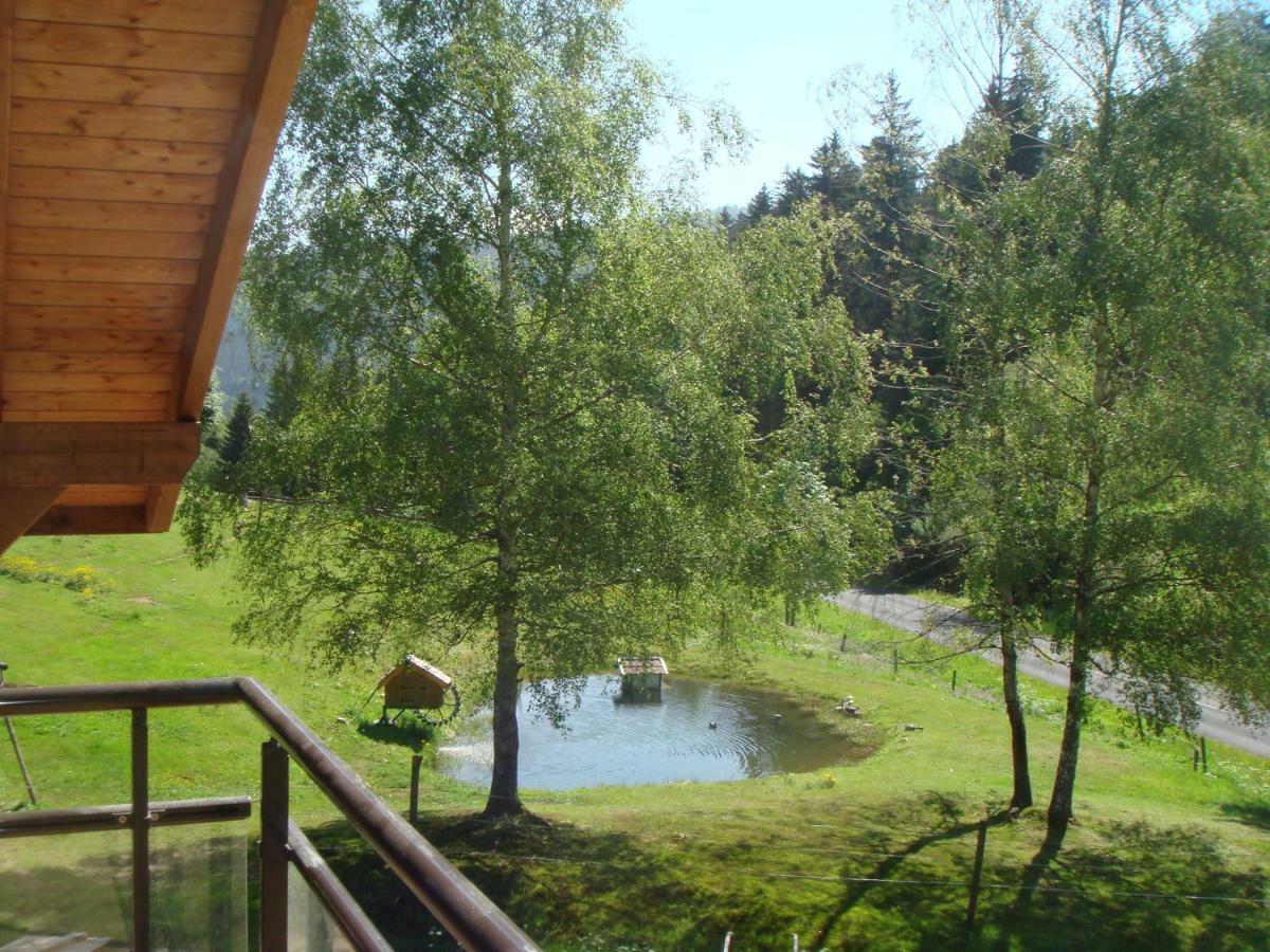 Chalet Elisa Le Valtin Ngoại thất bức ảnh