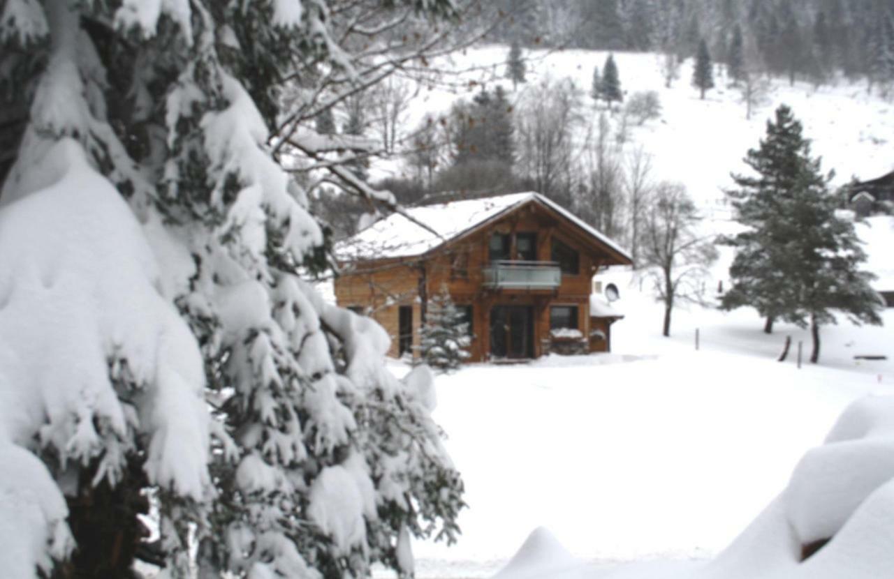 Chalet Elisa Le Valtin Ngoại thất bức ảnh